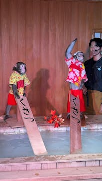 おさるの湯もみ処　おさ湯に投稿された画像（2025/11/4）