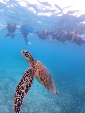 宮古島マリンショップSmileyに投稿された画像（2025/11/4）