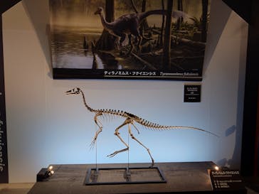 福井県立恐竜博物館に投稿された画像（2025/11/4）