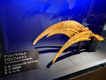 福井県立恐竜博物館に投稿された画像（2025/11/4）
