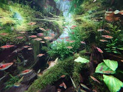 すみだ水族館に投稿された画像（2025/11/4）