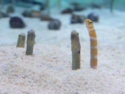 すみだ水族館に投稿された画像（2025/11/4）