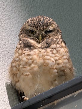 NIFREL（ニフレル）に投稿された画像（2025/11/4）