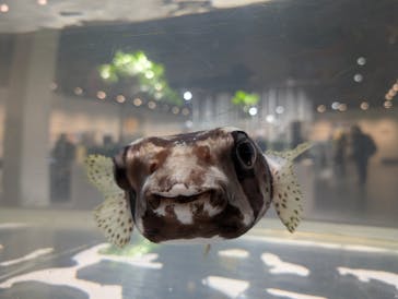 NIFREL（ニフレル）に投稿された画像（2025/11/4）