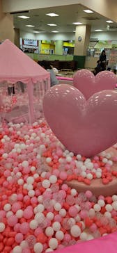 ハピピランド港北ルララに投稿された画像（2025/11/4）