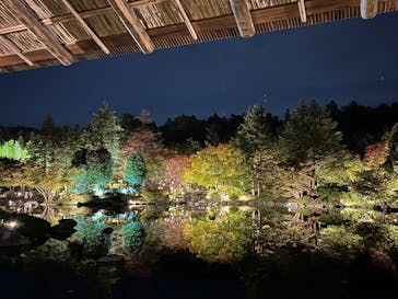 国営昭和記念公園 秋の夜散歩に投稿された画像（2025/11/4）
