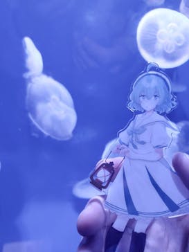 サンシャイン水族館に投稿された画像（2025/11/4）