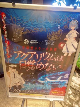 サンシャイン水族館に投稿された画像（2025/11/4）