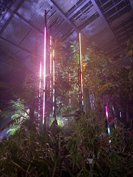 京都府立植物園　LIGHT CYCLES KYOTOに投稿された画像（2025/11/4）