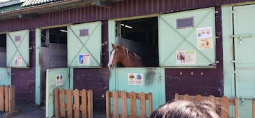 マザー牧場に投稿された画像（2025/11/4）