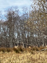 レイクサイドとうろに投稿された画像（2025/11/4）