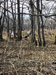 レイクサイドとうろに投稿された画像（2025/11/4）