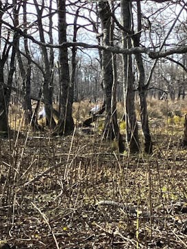 レイクサイドとうろに投稿された画像（2025/11/4）