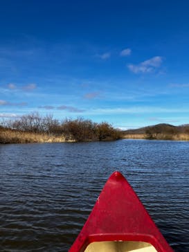 レイクサイドとうろに投稿された画像（2025/11/4）