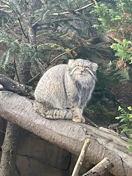 那須どうぶつ王国に投稿された画像（2025/11/4）