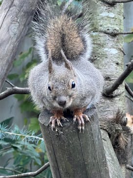 那須どうぶつ王国に投稿された画像（2025/11/4）