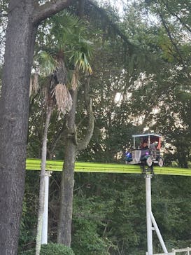 みろくの里に投稿された画像（2025/11/4）