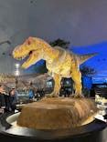 福井県立恐竜博物館に投稿された画像（2025/11/5）