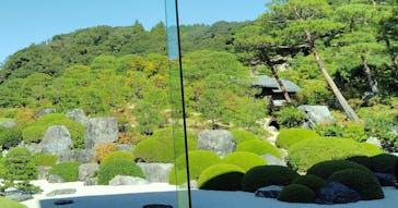 足立美術館に投稿された画像（2025/11/5）