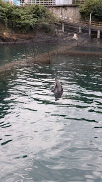 伊豆・三津シーパラダイスに投稿された画像（2025/11/5）