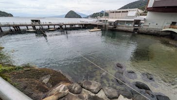 伊豆・三津シーパラダイスに投稿された画像（2025/11/5）