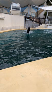 伊豆・三津シーパラダイスに投稿された画像（2025/11/5）