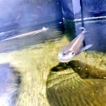 名古屋市東山動植物園に投稿された画像（2025/11/5）