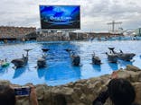 名古屋港水族館に投稿された画像（2025/11/5）