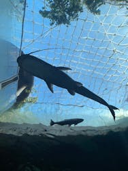 栃木県なかがわ水遊園に投稿された画像（2025/11/5）