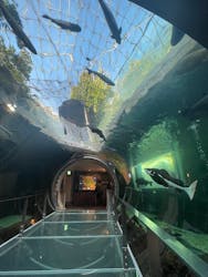 栃木県なかがわ水遊園に投稿された画像（2025/11/5）