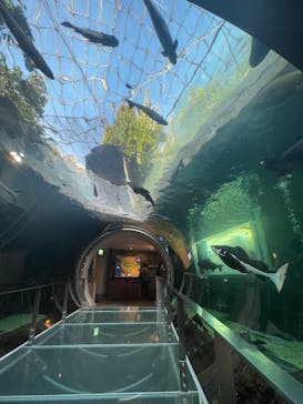 栃木県なかがわ水遊園に投稿された画像（2025/11/5）