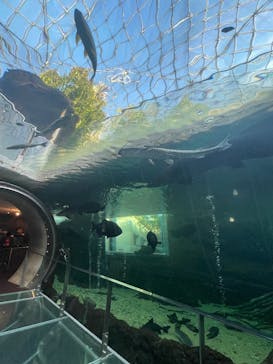 栃木県なかがわ水遊園に投稿された画像（2025/11/5）