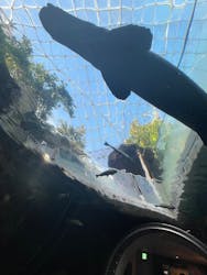 栃木県なかがわ水遊園に投稿された画像（2025/11/5）