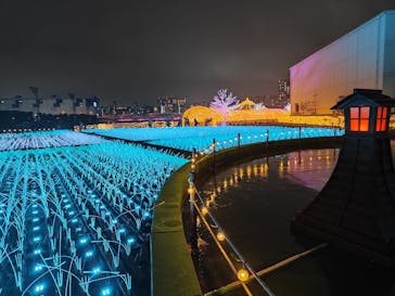 東京メガイルミに投稿された画像（2025/11/5）