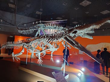 印象派オルセー展×大絶滅展に投稿された画像（2025/11/5）