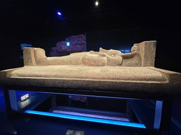 ACN ラムセス大王展 ファラオたちの黄金に投稿された画像（2025/11/5）