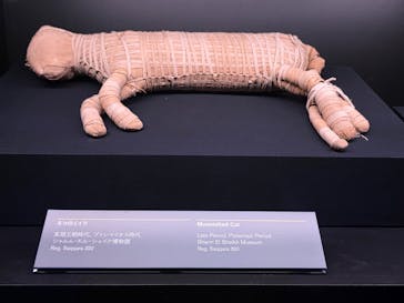 ACN ラムセス大王展 ファラオたちの黄金に投稿された画像（2025/11/5）