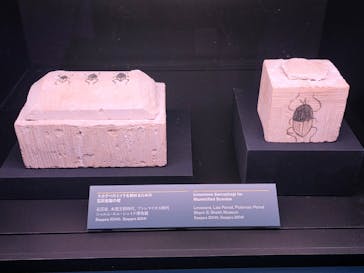 ACN ラムセス大王展 ファラオたちの黄金に投稿された画像（2025/11/5）