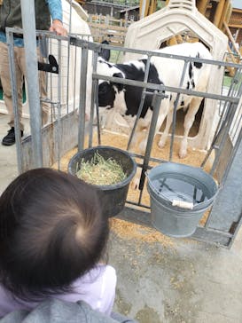 まかいの牧場に投稿された画像（2025/11/5）