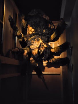 ホラーにふれる展に投稿された画像（2025/11/5）