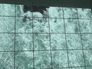 徳島県立 渦の道に投稿された画像（2025/11/5）