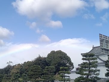 元離宮二条城に投稿された画像（2025/11/5）