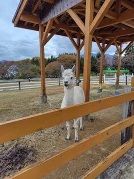 牧歌の里に投稿された画像（2025/11/5）