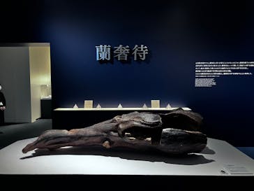 正倉院 THE SHOW ―感じる。いま、ここにある奇跡―　@上野の森美術館に投稿された画像（2025/11/5）