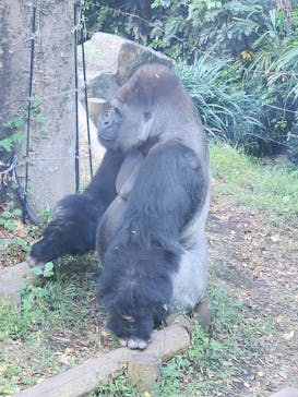 恩賜上野動物園に投稿された画像（2025/11/5）