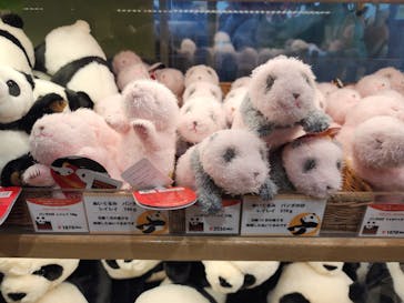 恩賜上野動物園に投稿された画像（2025/11/5）