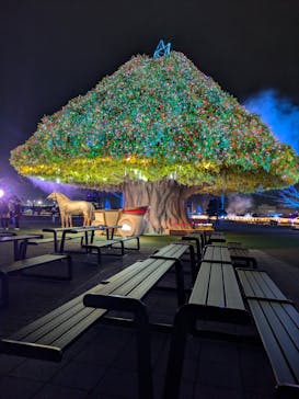 東京メガイルミに投稿された画像（2025/11/5）