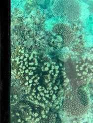 まりんはうすぐるくんに投稿された画像（2025/11/5）