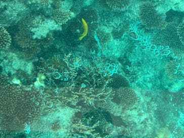 まりんはうすぐるくんに投稿された画像（2025/11/5）