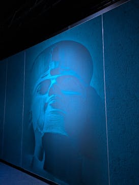 ACN ラムセス大王展 ファラオたちの黄金に投稿された画像（2025/11/5）